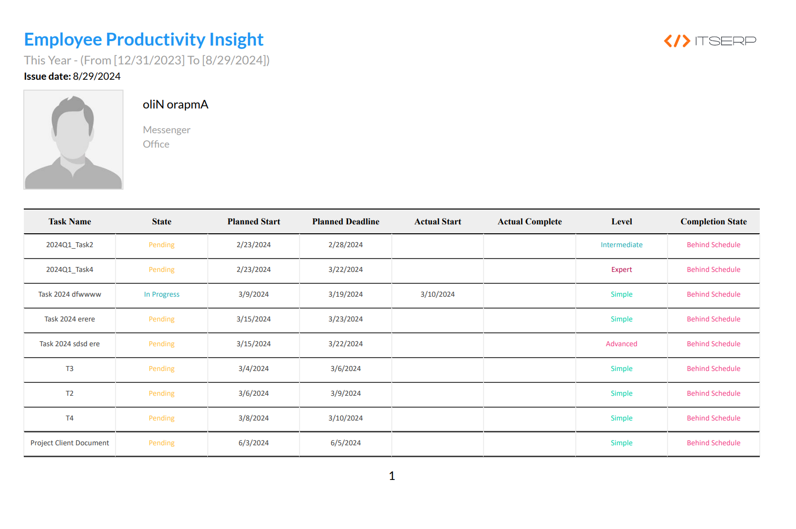 Employee Productivity Insight Report PDF